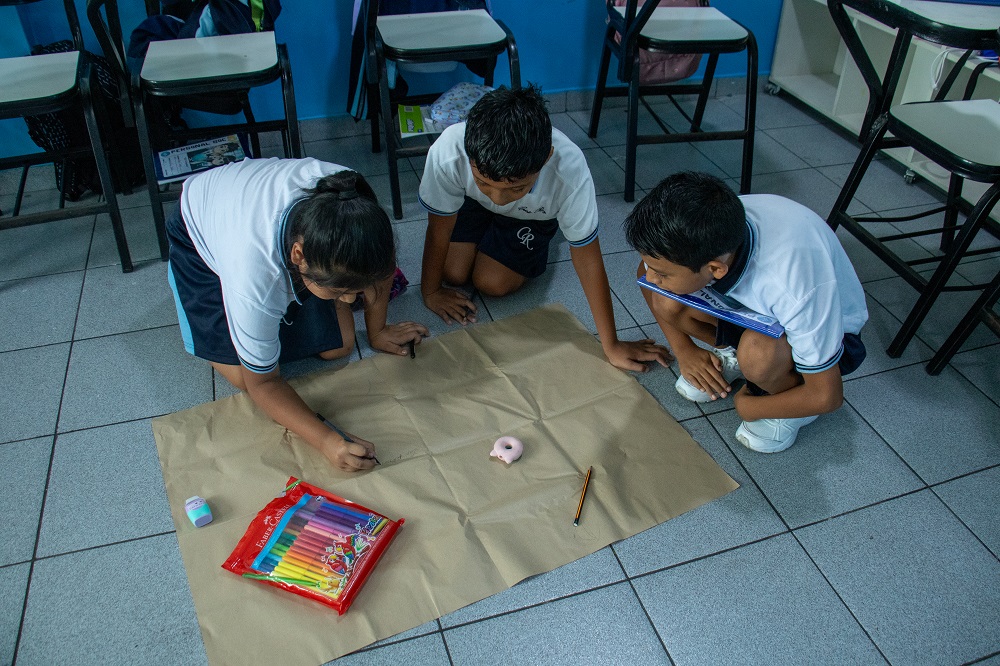 Servicios complementarios - Nivel Primaria